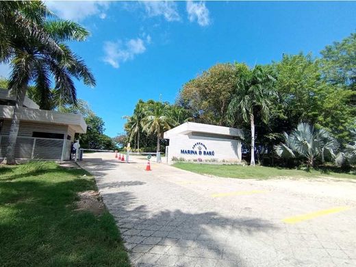 Arsa Cartagena, Cartagena de Indias