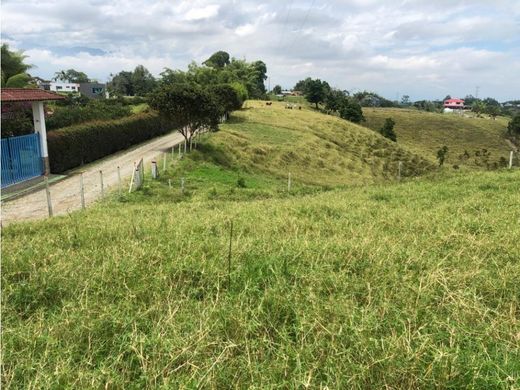 Arsa Armenia, Quindío Department