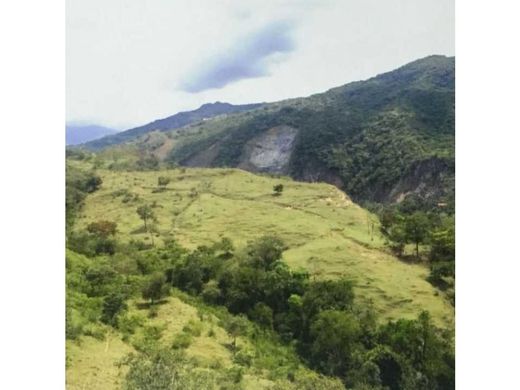 Arsa Sopetrán, Liborina