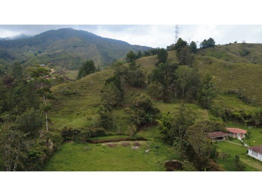 Arsa Gómez Plata, Departamento de Antioquia