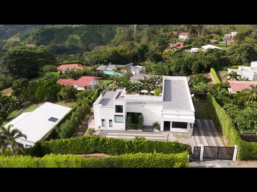 Gospodarstwo w Palestina, Departamento de Caldas