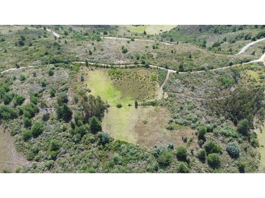 Αγροτεμάχιο σε Tibasosa, Departamento de Boyacá