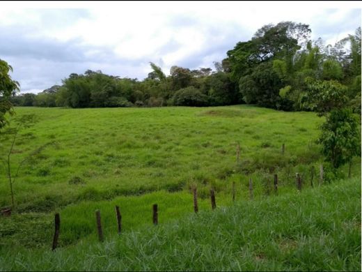 Grond in Acacías, Departamento del Meta