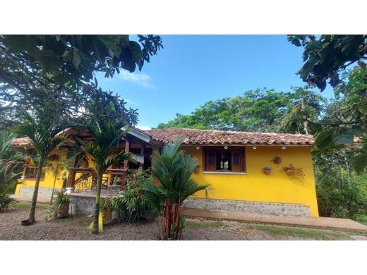 Rustik ya da çiftlik Armenia, Quindío Department