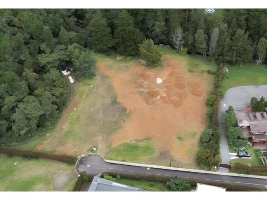 地皮  麦德林, Medellín