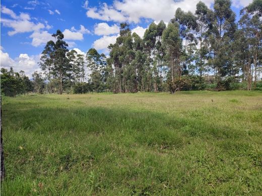 Terreno en Rionegro, Departamento de Antioquia