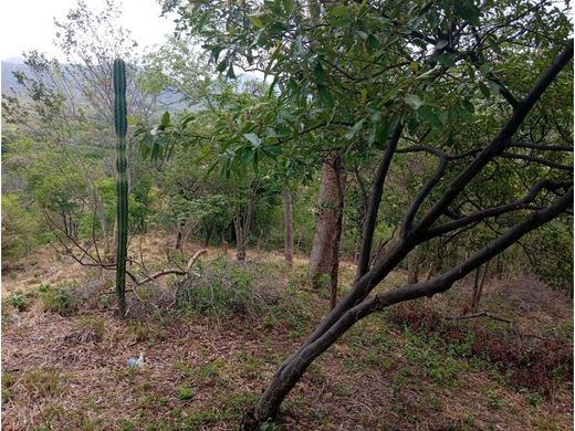 地皮  Santa Marta, Departamento del Magdalena