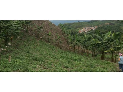 Terreno a Palestina, Departamento de Caldas