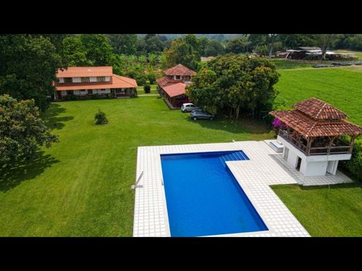 Land in Armenia, Quindío Department