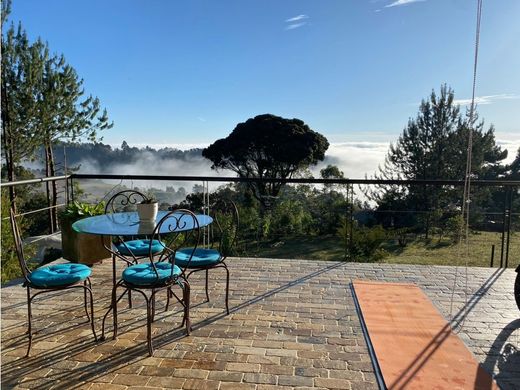 호화 저택 / 메데인, Medellín