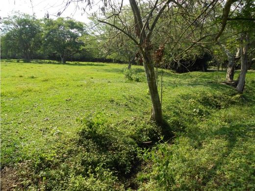 Terrain à Cali, Departamento del Valle del Cauca