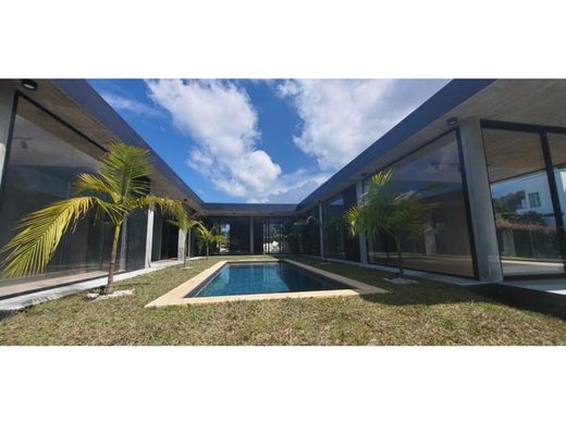 호화 저택 / 메데인, Medellín