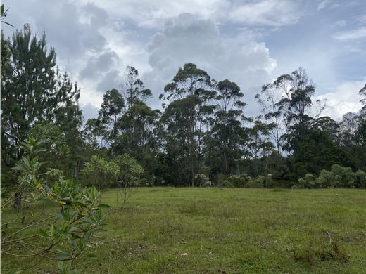 Grundstück in Rionegro, Departamento de Antioquia