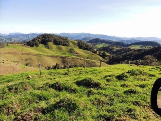 Terreno a La Ceja, Departamento de Antioquia