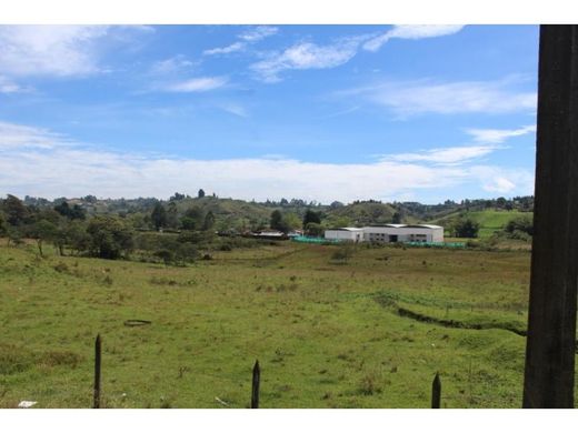 Land in Rionegro, Departamento de Antioquia