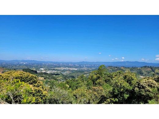 Grond in Rionegro, Departamento de Antioquia