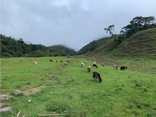 Farmhouse in Pueblo Rico, Departamento de Risaralda