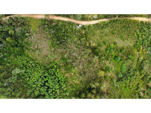 Terreno en San Vicente, San Vicente Ferrer