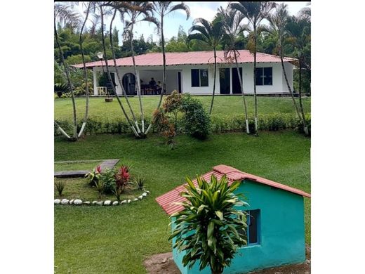 Landhuis in Palestina, Departamento de Caldas