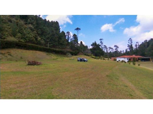 Envigado, Departamento de Antioquiaの土地