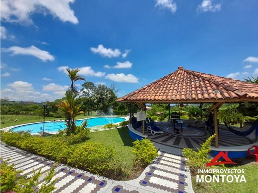 ﻓﻨﺪﻕ ﻓﻲ Pereira, Departamento de Risaralda