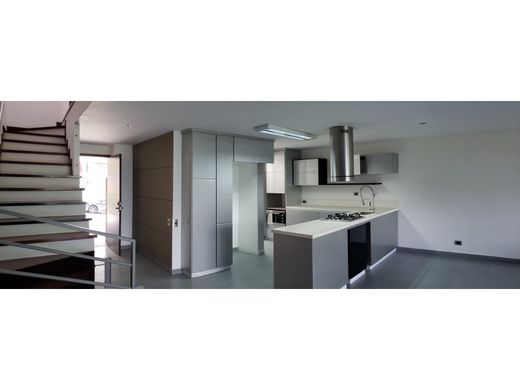 호화 저택 / 메데인, Medellín