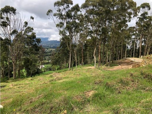 Land in Envigado, Departamento de Antioquia