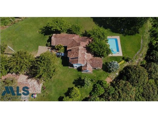 Arsa Fredonia, Departamento de Antioquia