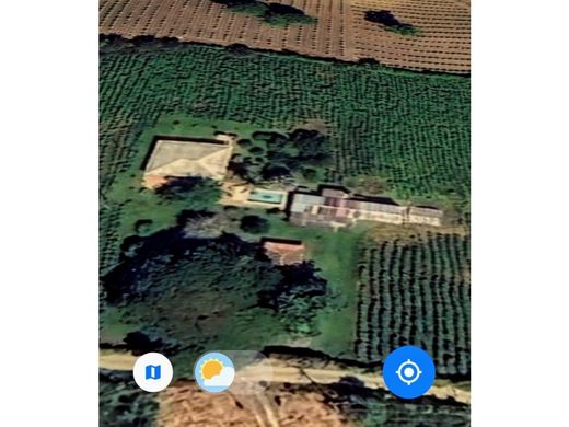 토지 / La Tebaida, Quindío Department