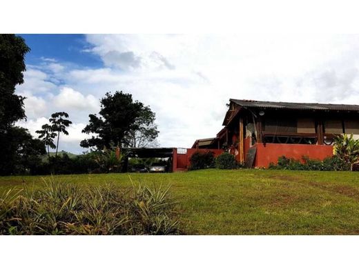 Rustykalny lub Wiejski w Pereira, Departamento de Risaralda