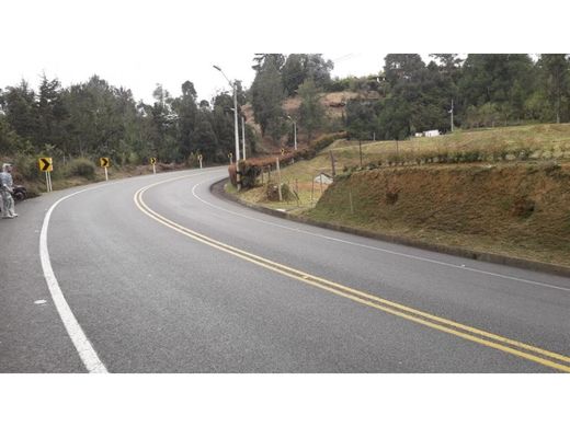 Terreno - Rionegro, Departamento de Antioquia