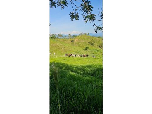 Ρουστίκ ή αγροικία σε Chinchiná, Departamento de Caldas