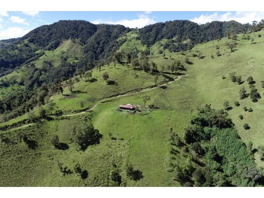 Farmhouse in Cajamarca, Departamento de Tolima