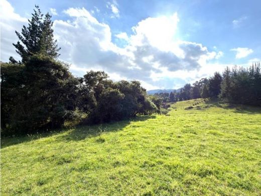 Farmhouse in Tabio, Cundinamarca