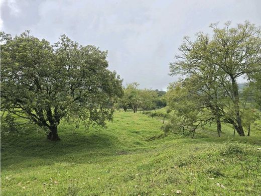 Rustik ya da çiftlik Fredonia, Departamento de Antioquia