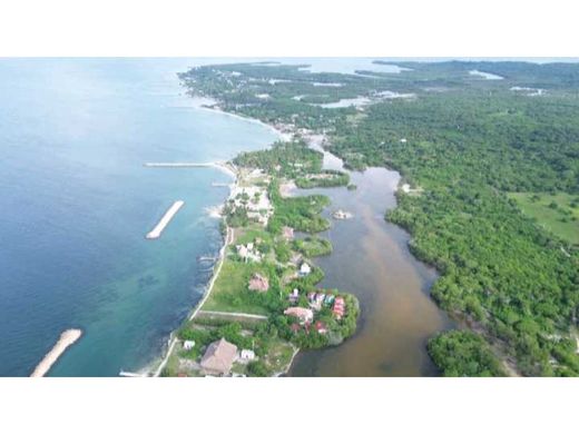 토지 / Cartagena, Cartagena de Indias