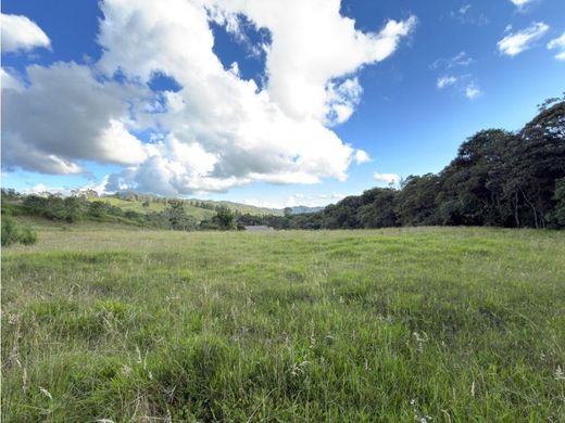 Terreno en Envigado, Departamento de Antioquia
