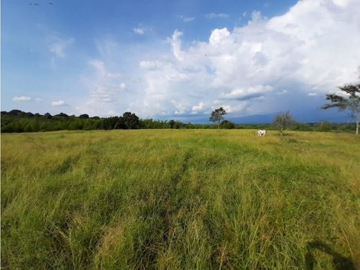 Rustik ya da çiftlik Montenegro, Quindío Department