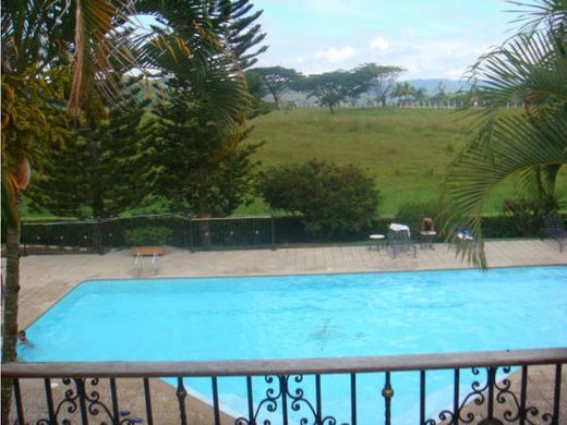 Ferme à Pereira, Departamento de Risaralda