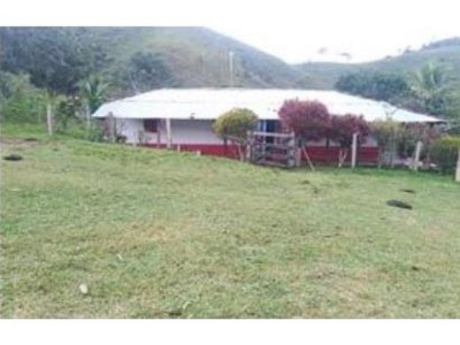 Ferme à Maceo, Departamento de Antioquia