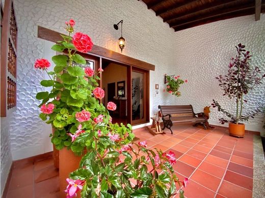 Gospodarstwo w La Ceja, Departamento de Antioquia