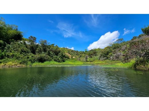 ‏קרקע ב  El Peñol, Yarumal