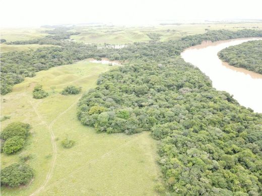 ﻣﻨﺰﻝ ﺭﻳﻔﻲ/ ﺑﻴﺖ ﻤﺰﺭﻋﺔ ﻓﻲ Puerto López, Departamento del Meta