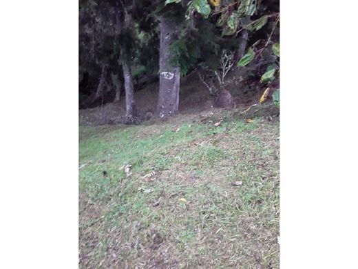 Envigado, Departamento de Antioquiaの土地