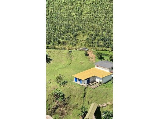 Farmhouse in Santa Rosa de Cabal, Departamento de Risaralda