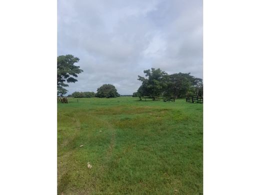 Rustykalny lub Wiejski w Momil, Departamento de Córdoba