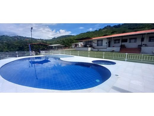 Гостиница, Palestina, Departamento de Caldas