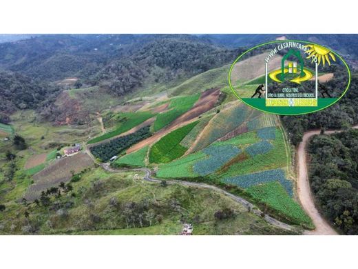 Cortijo o casa de campo en Santuario, El Santuario