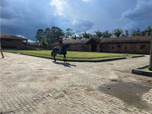 Rionegro, Departamento de Antioquiaの土地