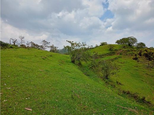 Grond in El Peñol, Yarumal